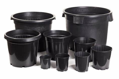 Nursery Pots 1