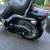 2008 Harley Davidson Softtail Custom 7 thumbnail