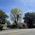 TREE &STUMP GRINDING &STUMP REMOVAL SERVICE 21 thumbnail