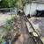 Vacant lots clean up 11 thumbnail