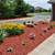 Dyed Red Mulch- Premium Mulch for sale! Delivery and Spreading 2 thumbnail