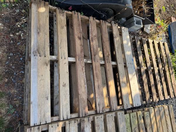 7 pallets various condition - $10 (Bothell)63471419361027120