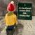 Vintage Whitley Bay Santa's Elves figure 7 thumbnail