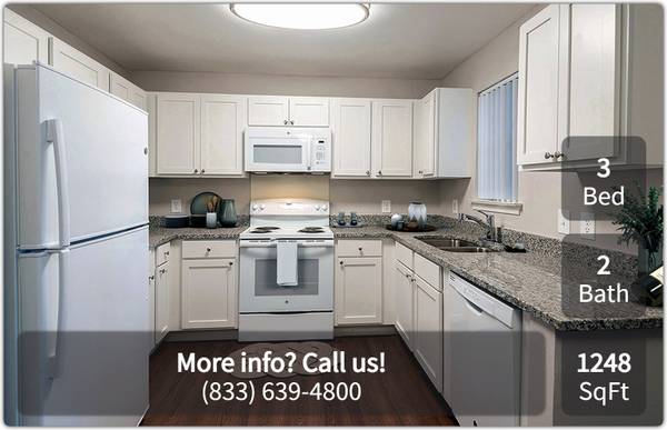 $1,070 / 3br - 1248ft2 - Tailored for pet lovers! 3 Bed/2 Bath in our pet-friendly community. (Dalton)63661416927619120