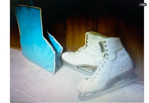 Ice Skates with Carry Bag 1