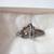Antique Art Nouveau Ring Sterling Silver Boxed 8 thumbnail