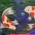 Canvas paintings 4 thumbnail