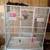 2 bird cages 1 big 1 medium size 2 thumbnail