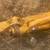 TD 20 B International dozer 4 thumbnail