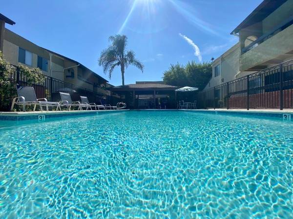 Sparkling Pool Studio! Balcony-Vaulted Ceilings-Efficient Appliances! 1