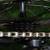 Cannondale Black Gold Cinelli Road Bike 700c 50cm 18 thumbnail
