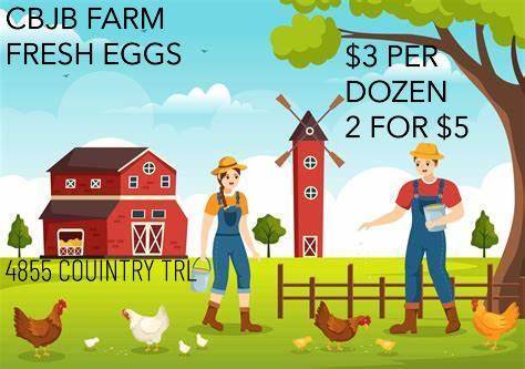 Eggs, 250 a dozen, 2 dz for 5 dollars. 1