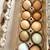 Quail eggs 2 thumbnail