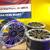 23" CRESCENDO L460 1075 STYLE WHEELS FOR LAND RANGE ROVER DEFENDER VOG 12 thumbnail