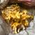 Picked fresh chanterelles 1 thumbnail