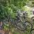 Several cheap bikes 1 thumbnail