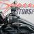 2023 Harley-Davidson Pan America 1250 Special Adventure Touring 10 thumbnail