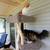$ Cat Trees & Scratching Posts $ 4 thumbnail