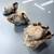 Crimmini, Chanterells, Enoki mushrooms 5 thumbnail