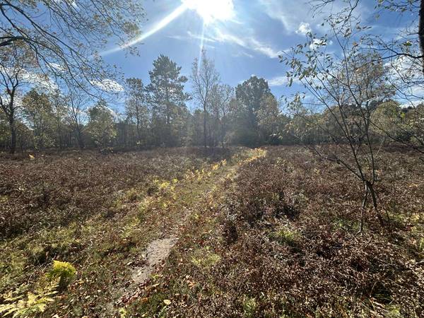 $27,000 Beautiful vacant 5 acres REDUCED!!! (Moorestown)64308160763522122