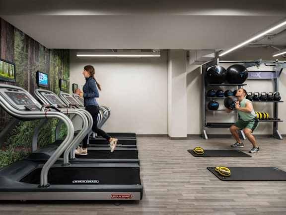 Custom kitchen cabinetry, Green Building, Pet Spa 1