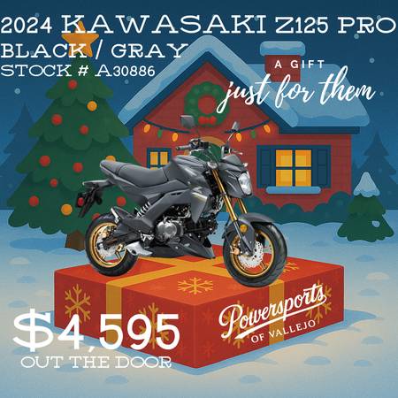 2024 Kawasaki Z125 PRO 1