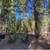 Magical Cabin in Woods of South Lake Tahoe! 2 thumbnail