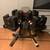 Bowflex SelectTech 560 Adjustable Dumbbells Stand and Weight Bench 3 thumbnail