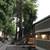 2x1 Apartment Deal! Immediate Leasing for spacious Apartments 6 thumbnail