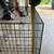 Dog crate 3 thumbnail