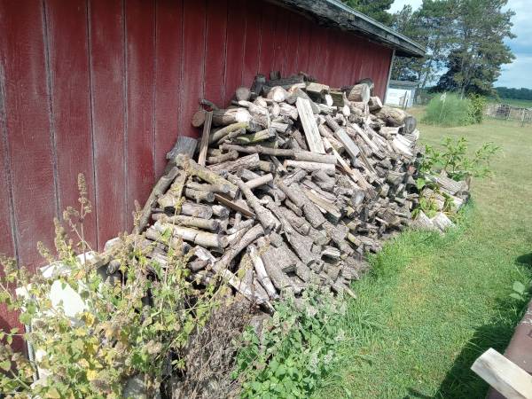 firewood 1