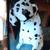 2ft tall stuffed sitting dalmation 1 thumbnail