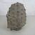 4th Century Japanese Replica Haniwa Terracotta Warrior Clay Head 10" T 4 thumbnail
