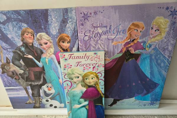 Set of Three (3) Frozen pics on canvas 1