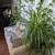 Beautiful one bed room 3 thumbnail