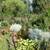 Lovely. Country style. $1,200.0 with 2 Bedrooms. Large garden. 8 thumbnail