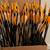 28” Bear Fiberglass Arrows with Plastic Vanes 38 Available- $2 Each 2 thumbnail