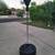 Punching Reflex  Bag 5 Feet Tall 1 thumbnail