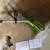 Greenwood String Trimmer 4 thumbnail