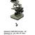 Olympus chbs microscope 2 thumbnail