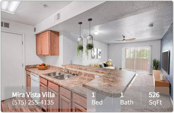 $739 / 1br - 526ft2 - Spread out & settle in: 1 BR, 1 BA, 526 Sq Ft of joy. (Las Cruces)63861850515585121