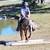 FOR ADOPTION - Heartland Equine Rescue -11yr Rocky Cross Pony 8 thumbnail