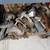 A large Collection of Miscellaneous Items 10 thumbnail