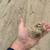 Sand 1 thumbnail