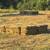 Fescue/Burmuda mix much hay 2 thumbnail