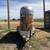 Horse trailer 3 thumbnail