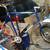Schwinn single speed - XL frame - Tall guy bike 1 thumbnail