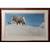 Robert Bateman - Limited Edition Print - "Last Look - Bighorn Sheep" 1 thumbnail