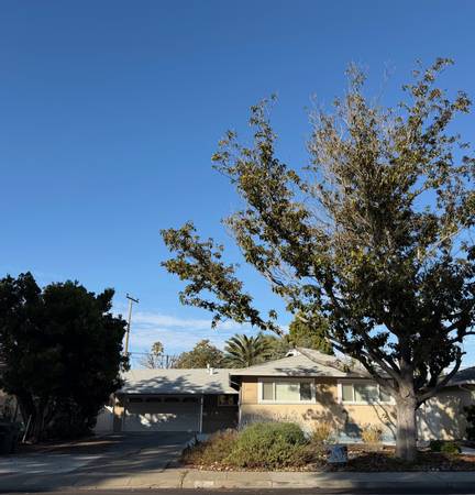 4bd 2 baths modern house for rent 1