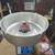 Gold medal cotton candy - 5 thumbnail